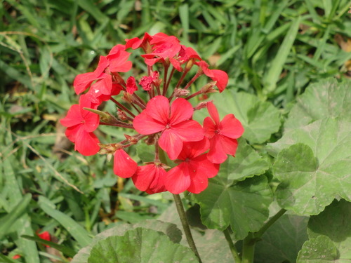 Jardín Botánico.